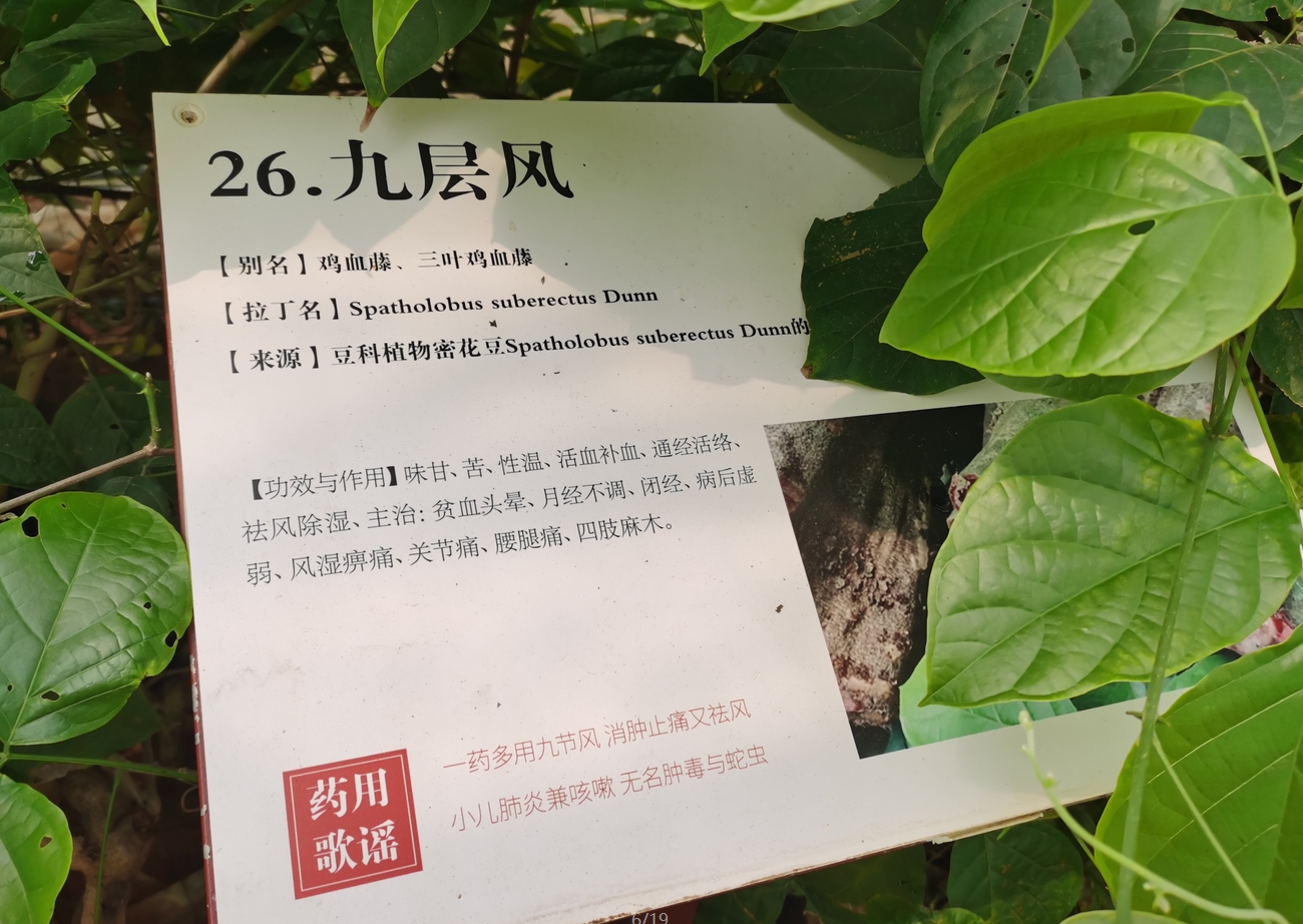 微信截图_20240423182708.png