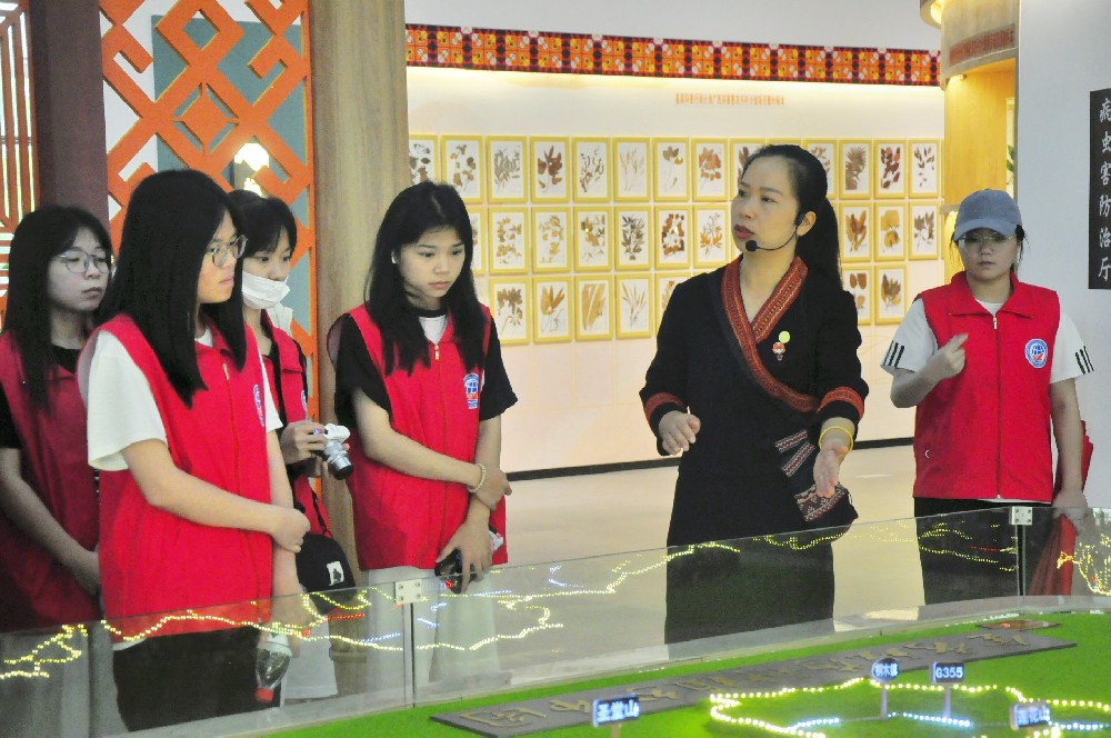 2024年“青年红色筑梦之旅”：瑶医药文化的传承与发扬