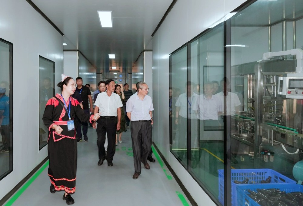 传承田野调查精神，赋能民族产业创新——宏瑶成费孝通调研90周年纪念活动首站