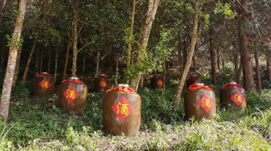 瑶清温通：藏在大瑶山森林里的千年药酒